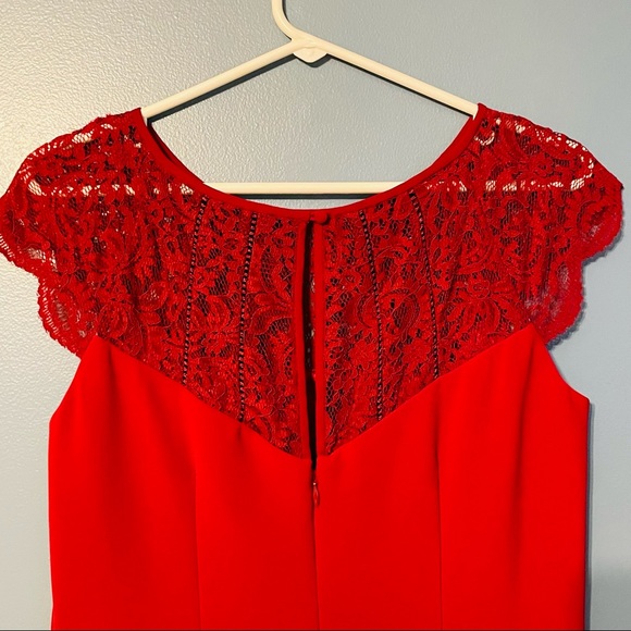 Burgundy lace dress - Picture 4 of 5